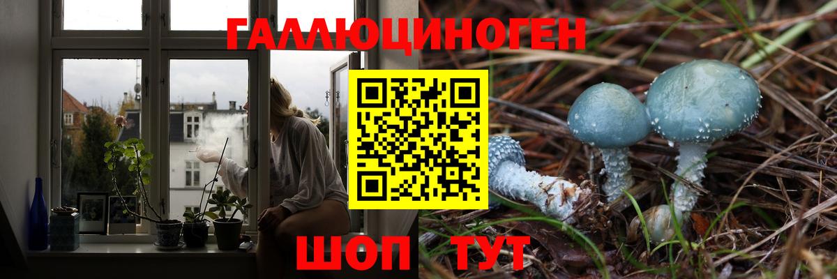 Новый Уренгой  Галлюциногенные грибы Psilocybe  Вход с VPN 